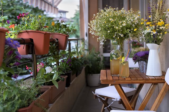 Urban rooftop garden with vegetable plants