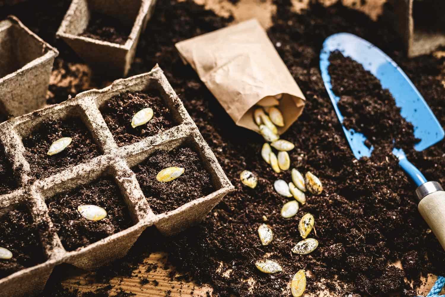 Seed-Starting Supplies